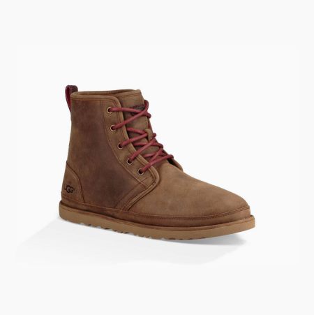 UGG Harkley Weather - Snøreboots Herre - Brune (NO-P530)